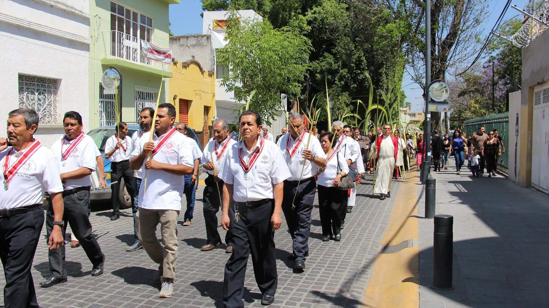 Domingo de ramos (1)